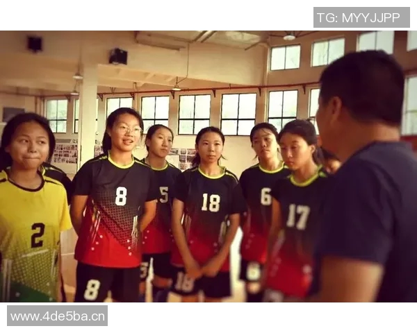 排球技术排行榜揭晓上海排球队荣获第六名成就辉煌