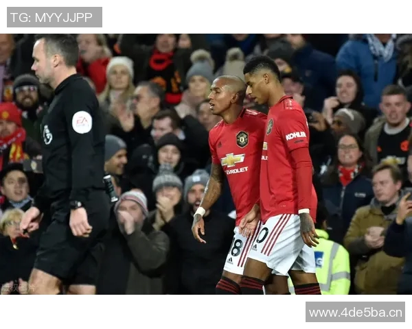 杭州网球队实力引发热议球迷对其表现褒贬不一的背后原因分析